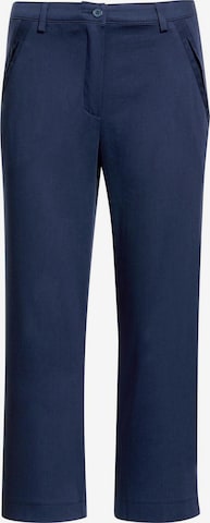 Pantalon Goldner en bleu : devant