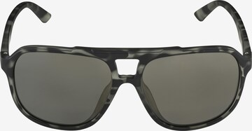 Alpina Sports Sunglasses 'Snazz' in Grey: front