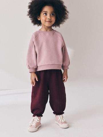Next Sweatshirt in Lila