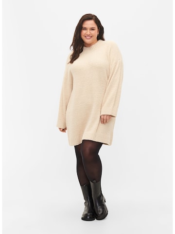 Pull-over 'Teddy' Zizzi en beige