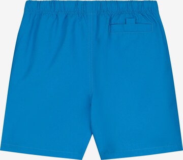 Shiwi Board Shorts 'Mike' in Blue