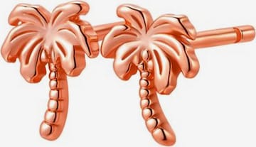 Orecchini 'Palm Tree' di Hey Happiness in oro: frontale