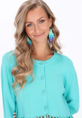 Gaya Gebreid vest in Blauw