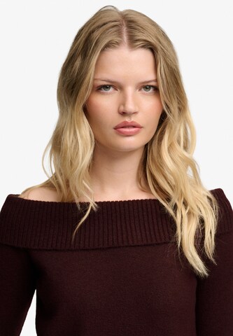 Superdry & Co Trui in Rood