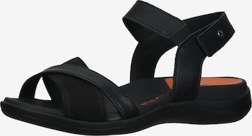 Arcopedico Strap Sandals in Black: front