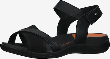 Arcopedico Sandalen met riem in Zwart: voorkant