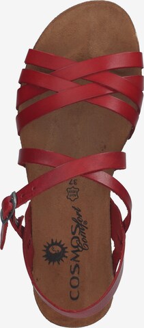 COSMOS COMFORT Sandalen met riem in Rood