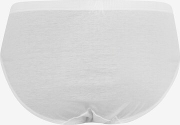 Hanro Panty ' Cotton Sporty ' in White