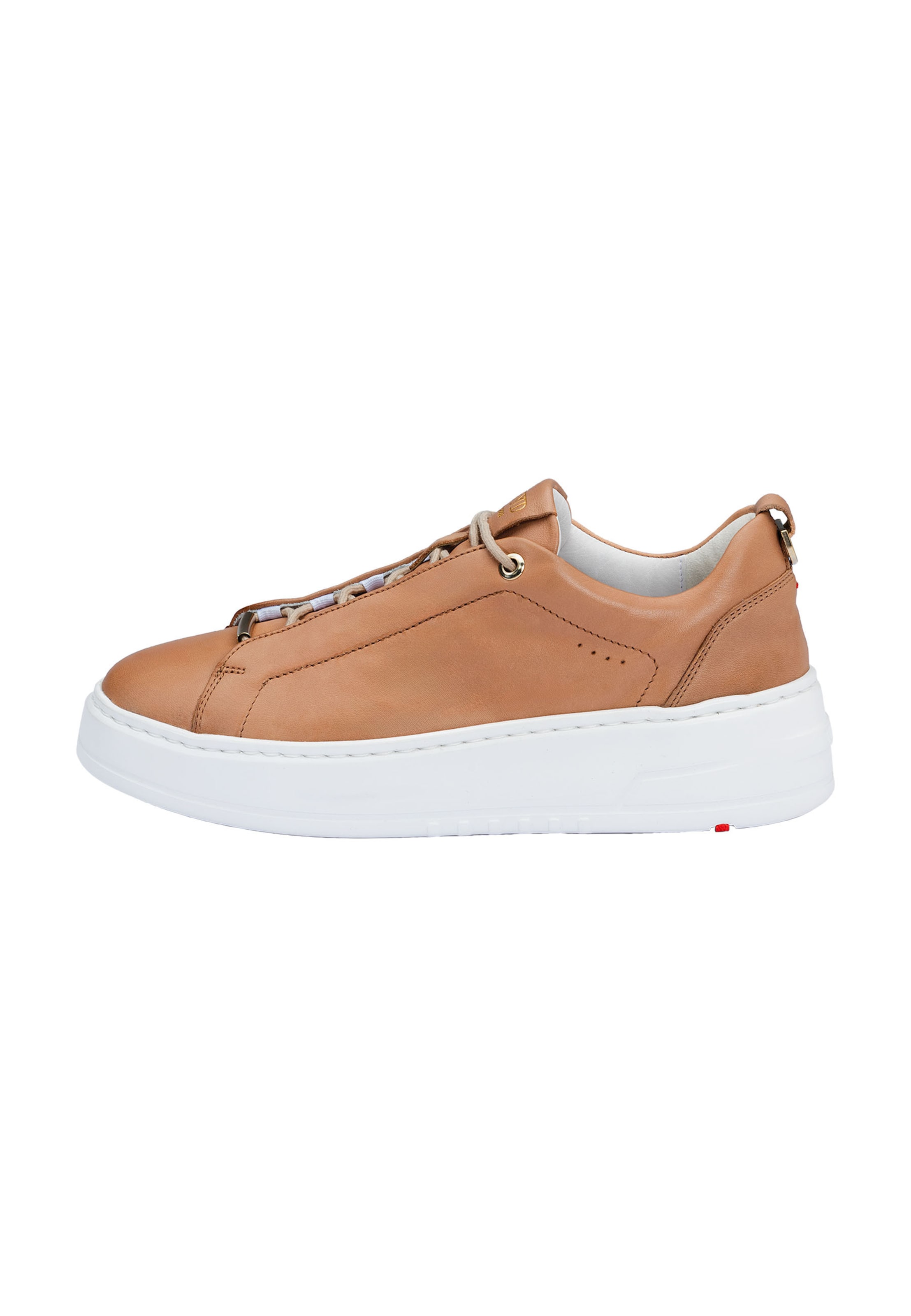 Sneaker bassa di LLOYD in marrone: frontale