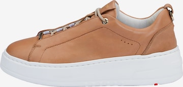 Sneaker bassa di LLOYD in marrone: frontale