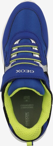 GEOX Sneakers in Blue