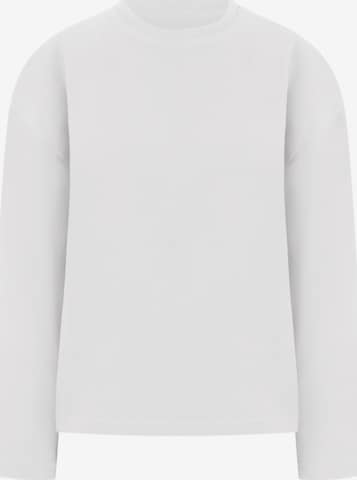 T-shirt Smilodox en gris : devant