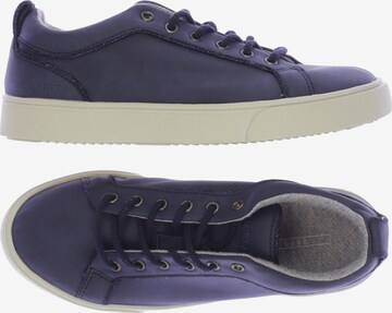ESPRIT Sneakers & Trainers in 38 in Blue: front