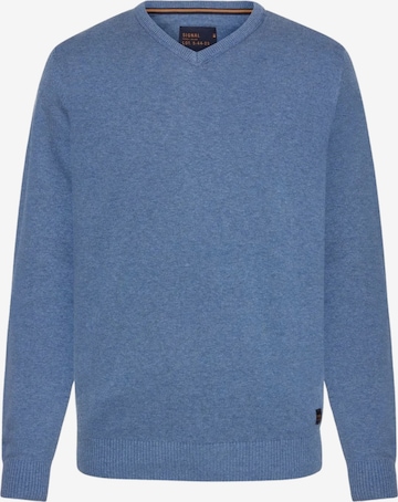 Pullover 'Vern' di Signal in blu: frontale