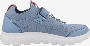 GEOX Sneakers 'Spherica Gril' in Blauw