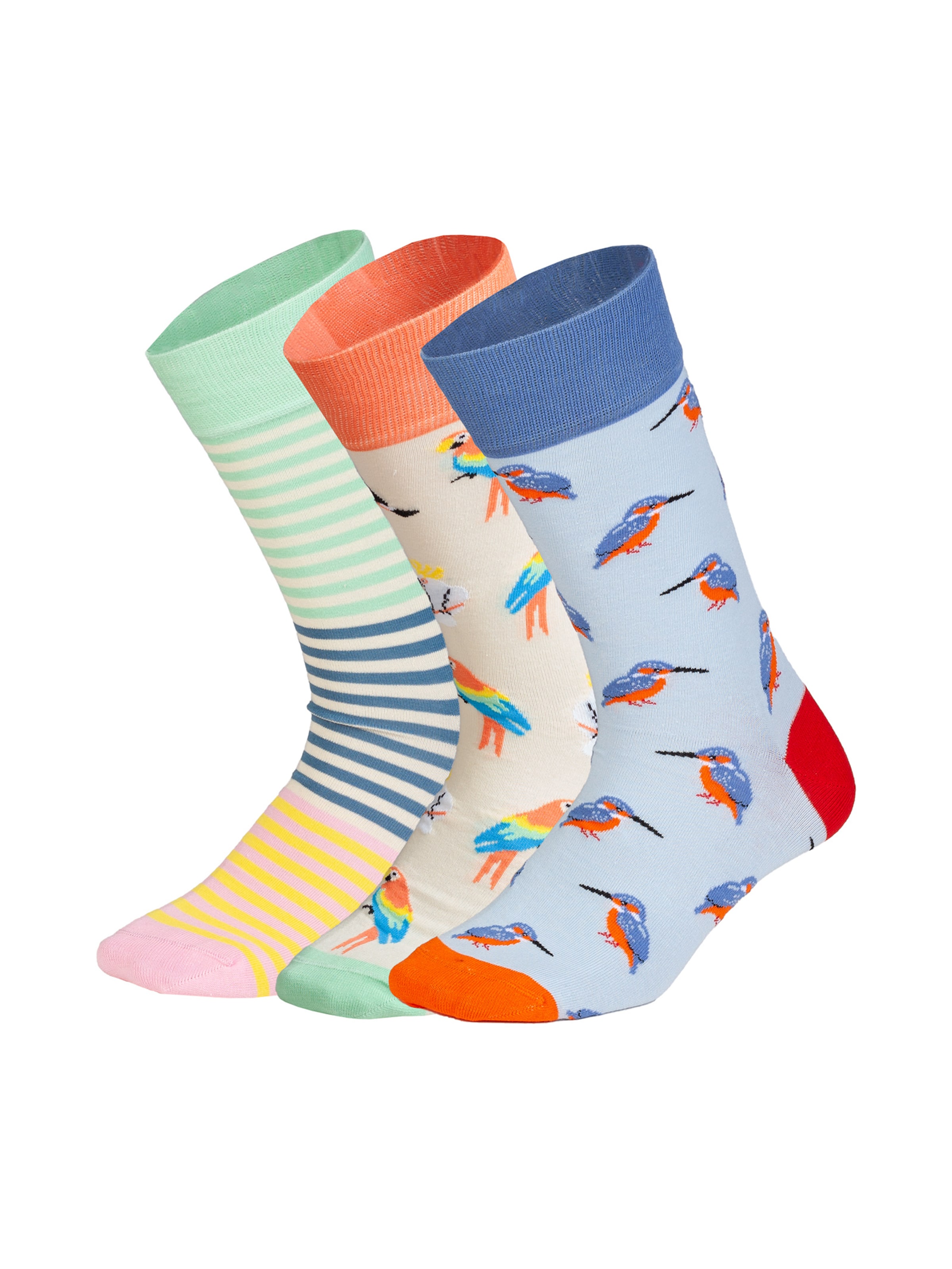 DillySocks Sokken 'Kingfisher Paradise' in Beige: voorkant