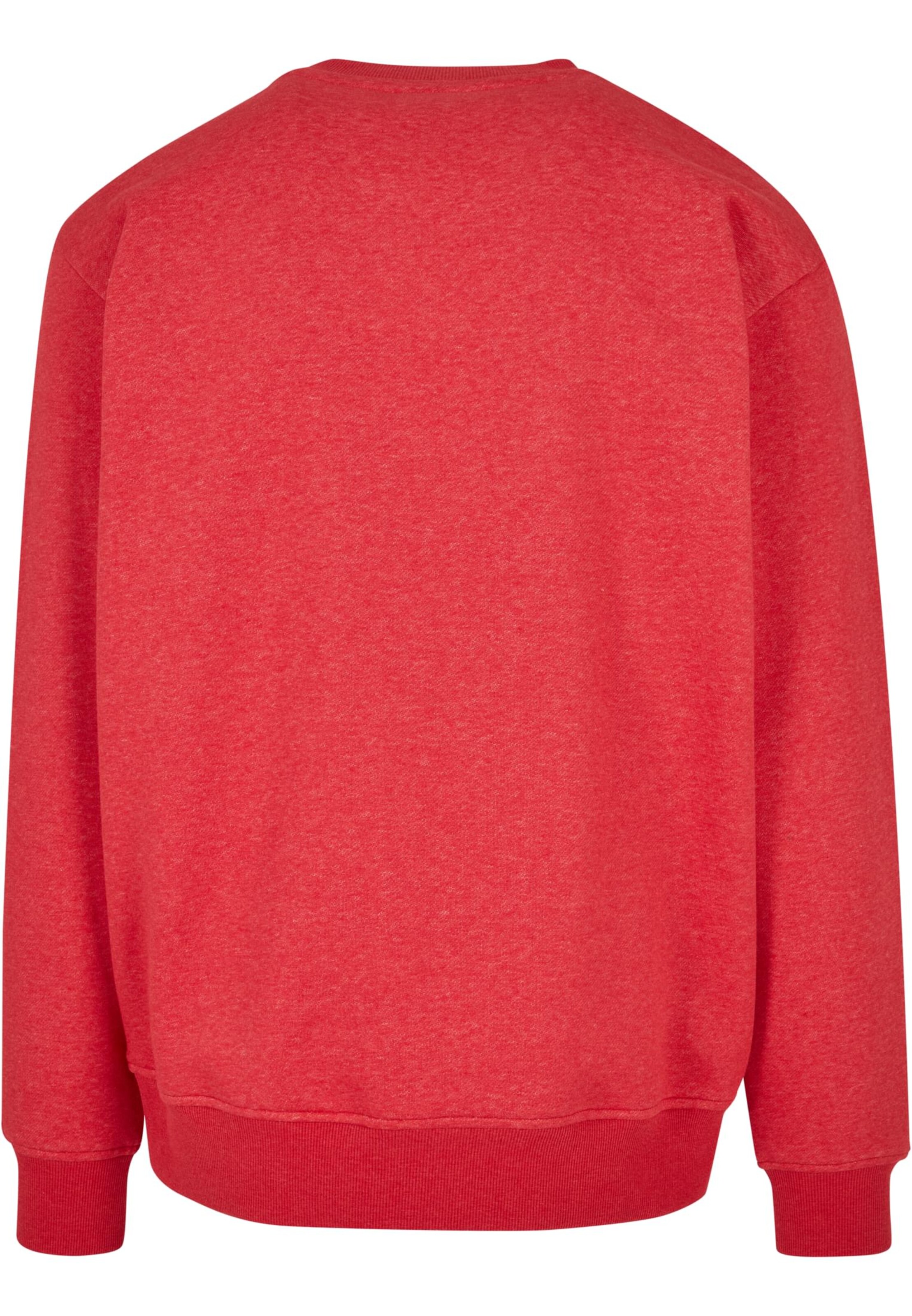 SOUTHPOLE Sweatshirt in Rood