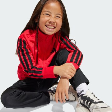 ADIDAS SPORTSWEAR Tracksuit 'Essentials' in Red