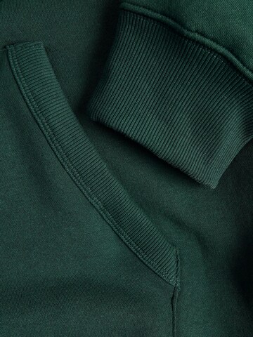 Jack & Jones Plus Sweatshirt 'JJJam' i grøn