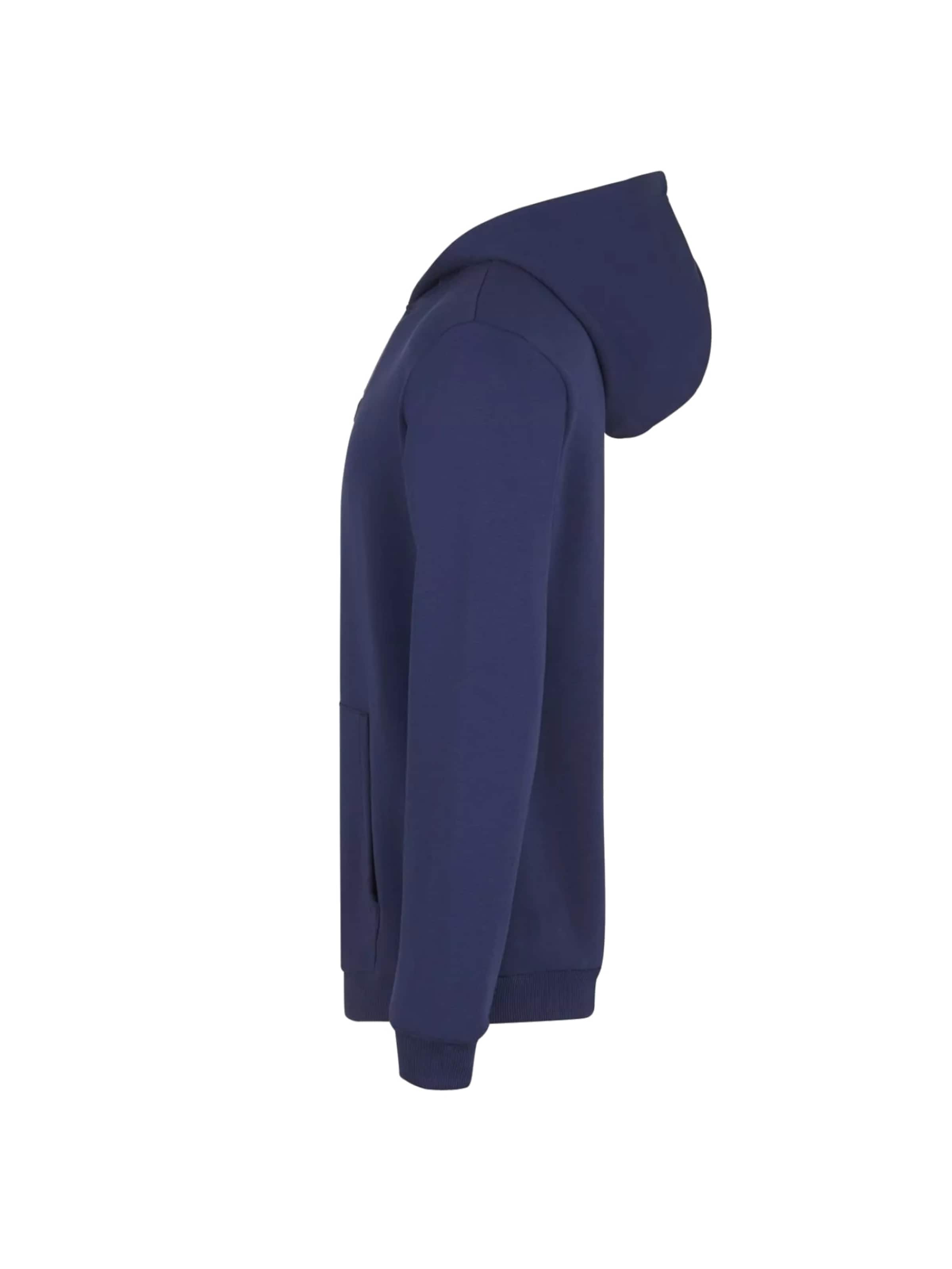FILA Sweatshirt 'Fila Beltinci Hoody' in Blue