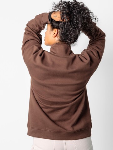 trueStory Pullover 'GYANI'‌‌‌‌‌‌ in Braun