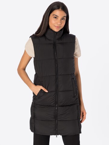 Superdry Bodywarmer in Zwart: voorkant