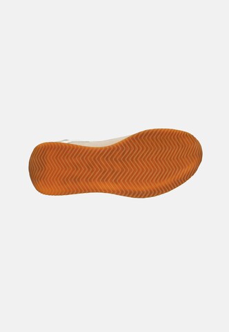 JOOP! - Zapatillas deportivas bajas 'Misto Leone' en beige