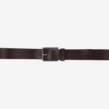 Calvin Klein Riem in Bruin