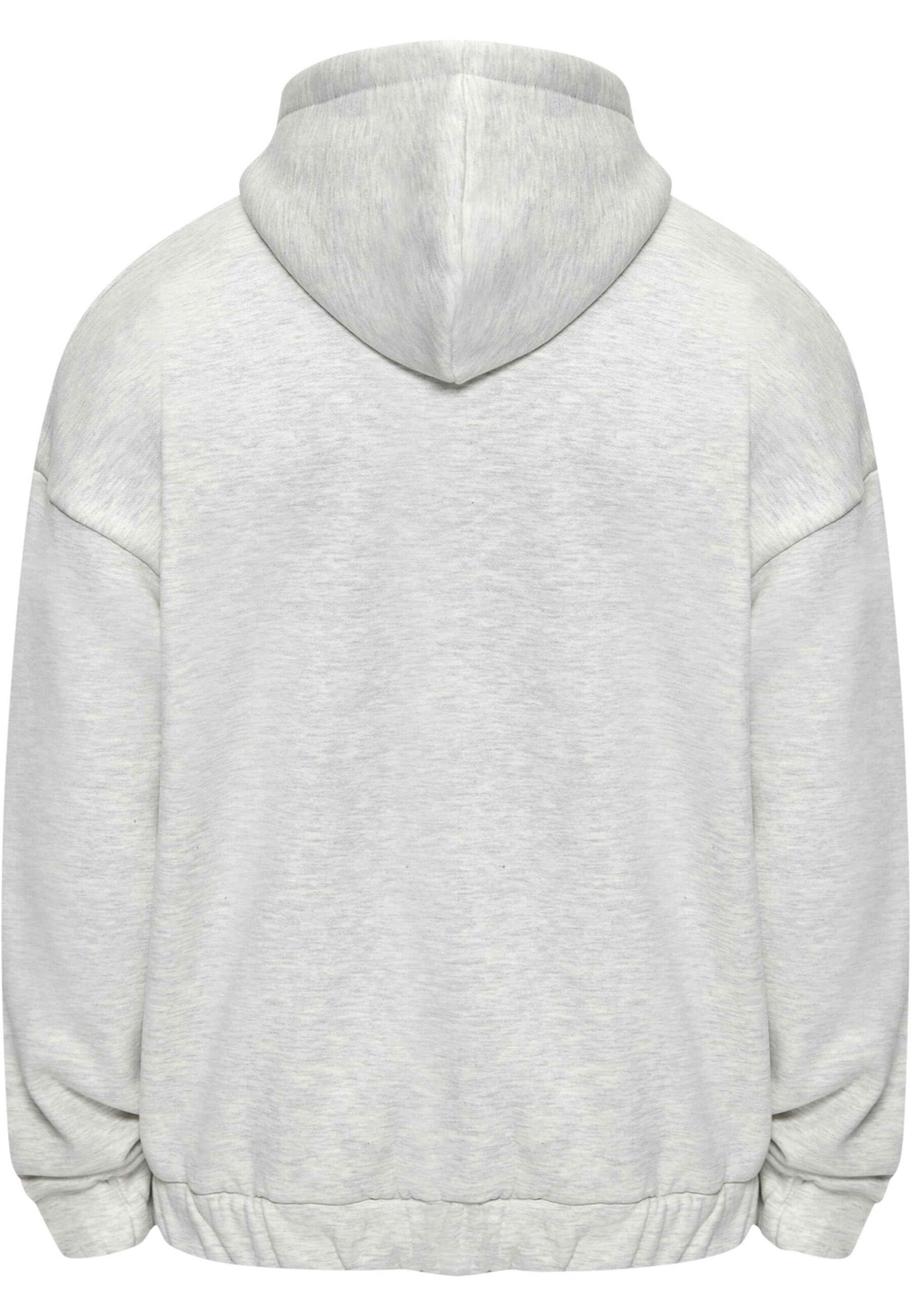 Dropsize Sweat jacket in Grey