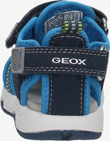 GEOX Sandale 'Multy' in Blau