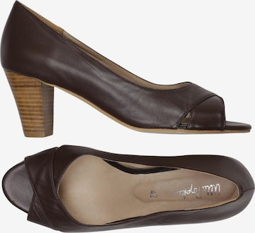 Ulla Popken Pumps 42 in Braun: Vorderseite