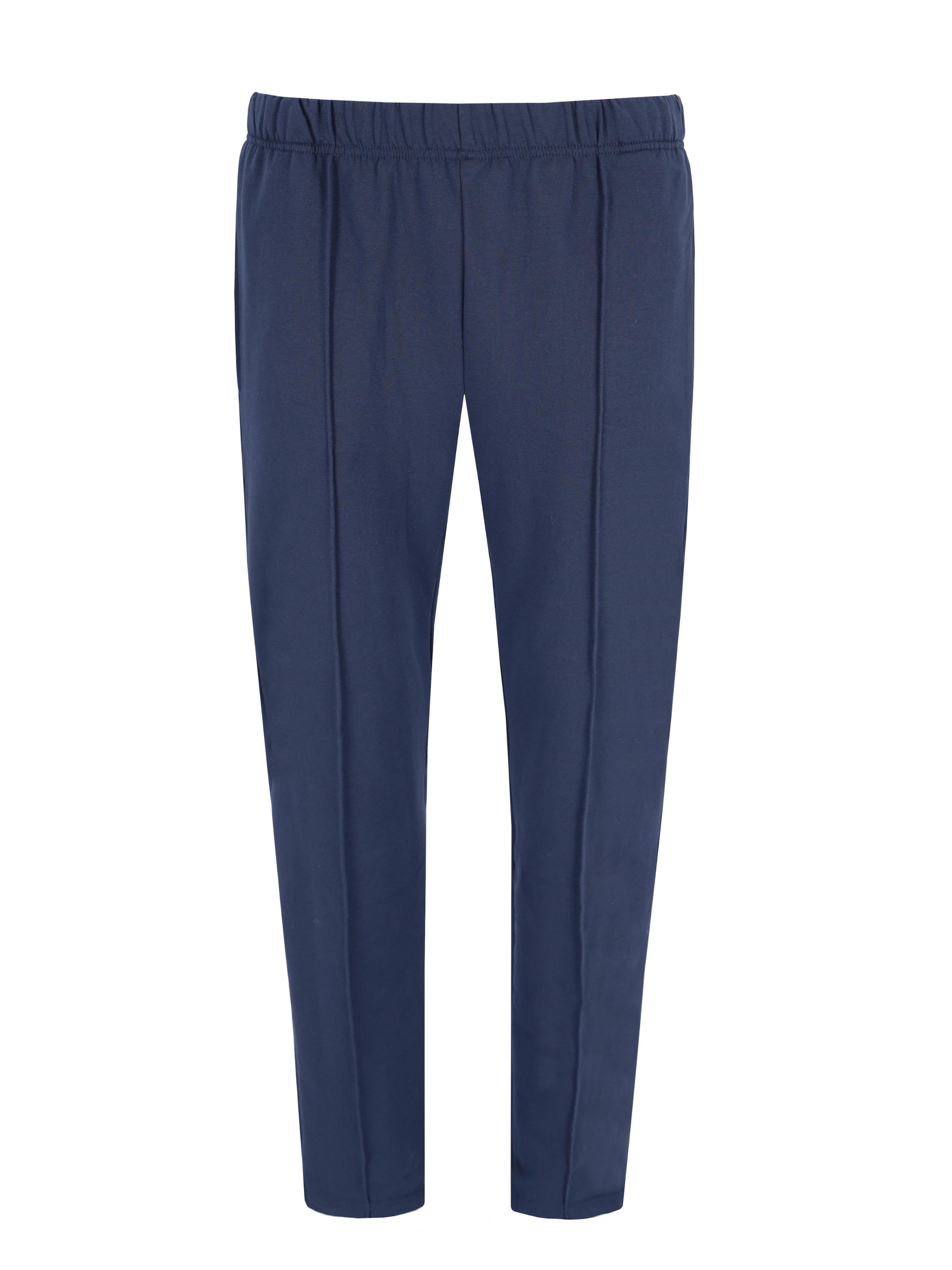 HAJO Pleated Pants in Blue: front