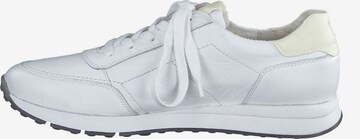 Paul Green Sneakers in White