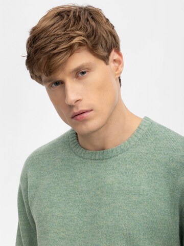 Antargo Sweater 'Bruno' in Green