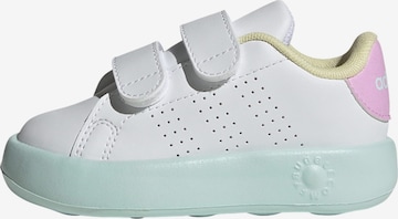 ADIDAS ORIGINALS Sneaker 'Advantage' in Weiß: Vorderseite