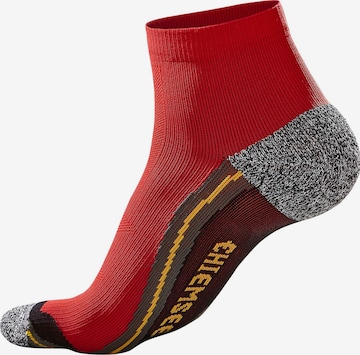 CHIEMSEE Athletic Socks in Red