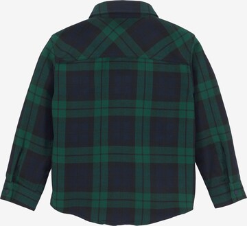 LACOSTE Regular fit Button Up Shirt in Green