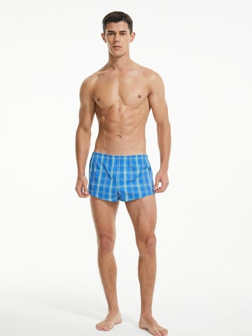 SEOBEAN Boxer shorts 'Baumwolle Checkered Boxershort' in Blue: front