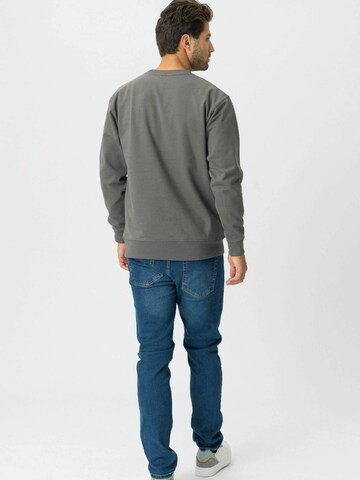 TEESHOPPEN Pullover ' Sweatshirt ' i grå