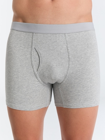 Albero Natur Boxershorts in Grau: Vorderseite