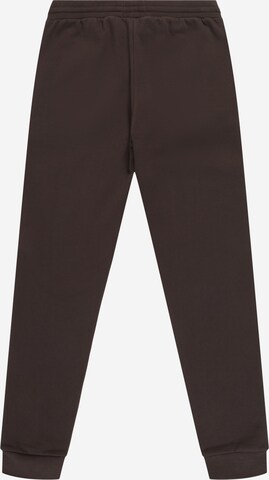 WOOD WOOD Tapered Pants 'Ran' in Brown