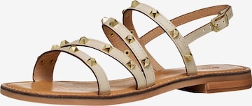 GEOX - Sandalias en beige: frente