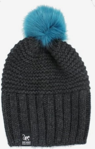 Surf Monkey - Gorra en gris: frente