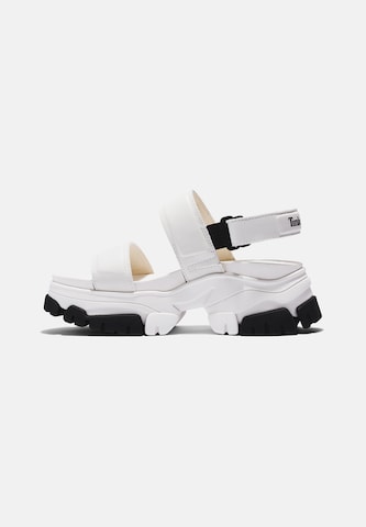 TIMBERLAND Sandals 'Adley Way' in White