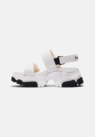 TIMBERLAND Sandal 'Adley Way' in White