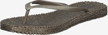 SuperCracks T-Bar Sandals in Gold: front