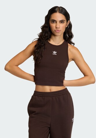 Haut ADIDAS ORIGINALS en marron : devant
