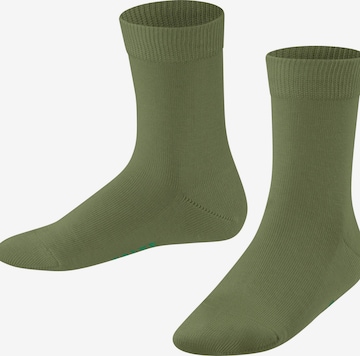 FALKE Socks 'Family' in Green: front
