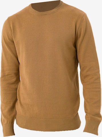 ruda Dandalo Marškinėliai: priekis