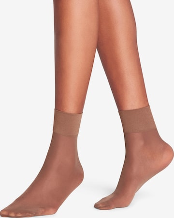 FALKE Socken 'Pure Matt' in Braun: Vorderseite